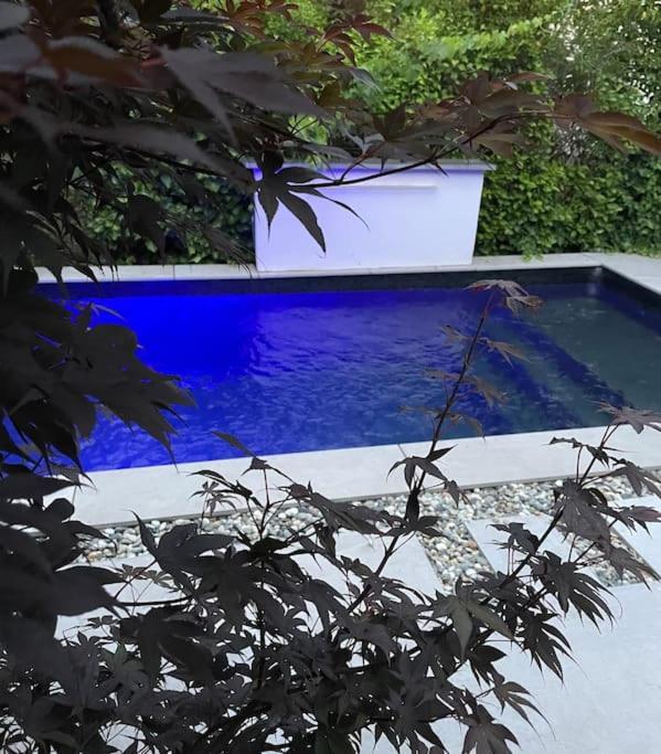 Villa Moderne Avec Piscine Albi Zewnętrze zdjęcie